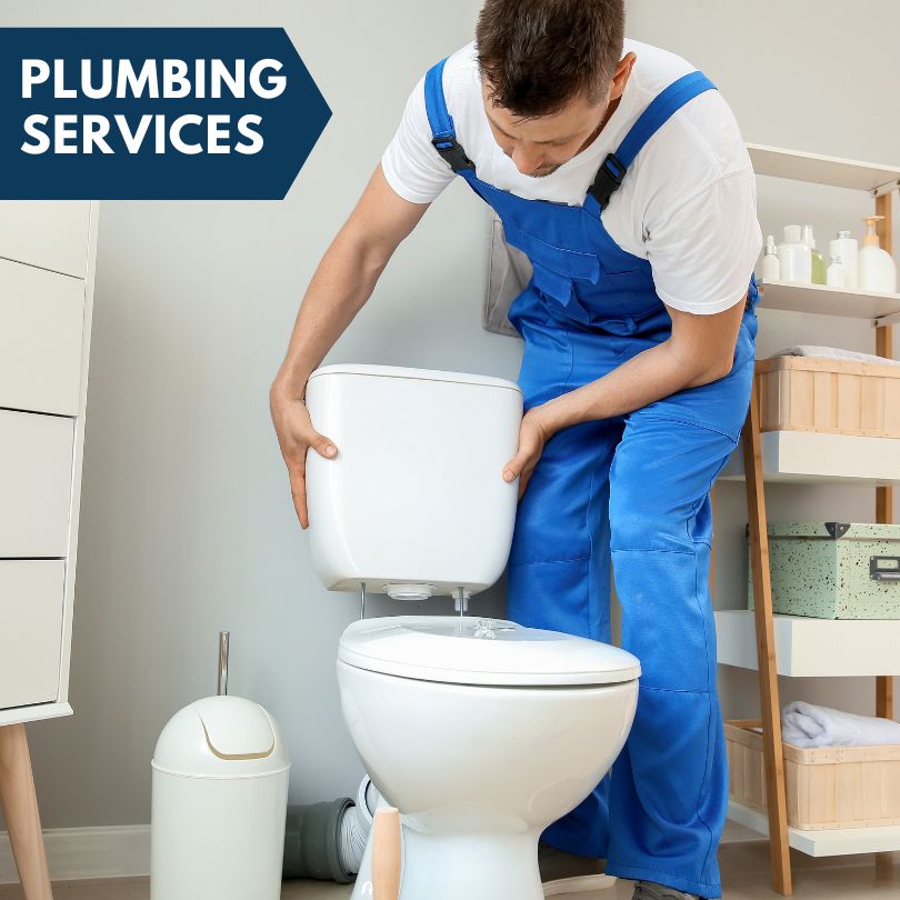 Plumbing Company in Phoenicia, NY