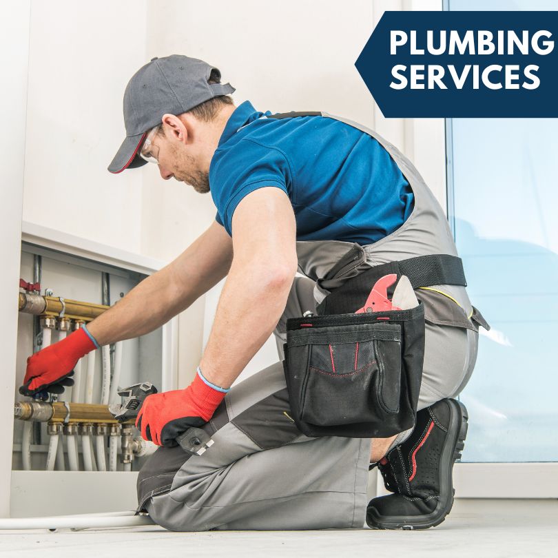 Phoenicia Plumbing Company